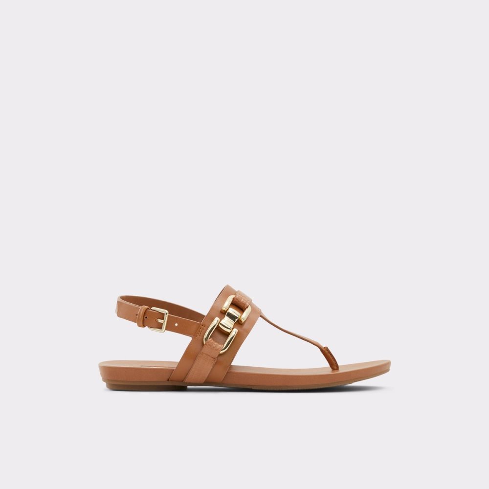 Sandales Aldo Gannamaryn T-strap Sandal Marron Femme | BVOD-43471528