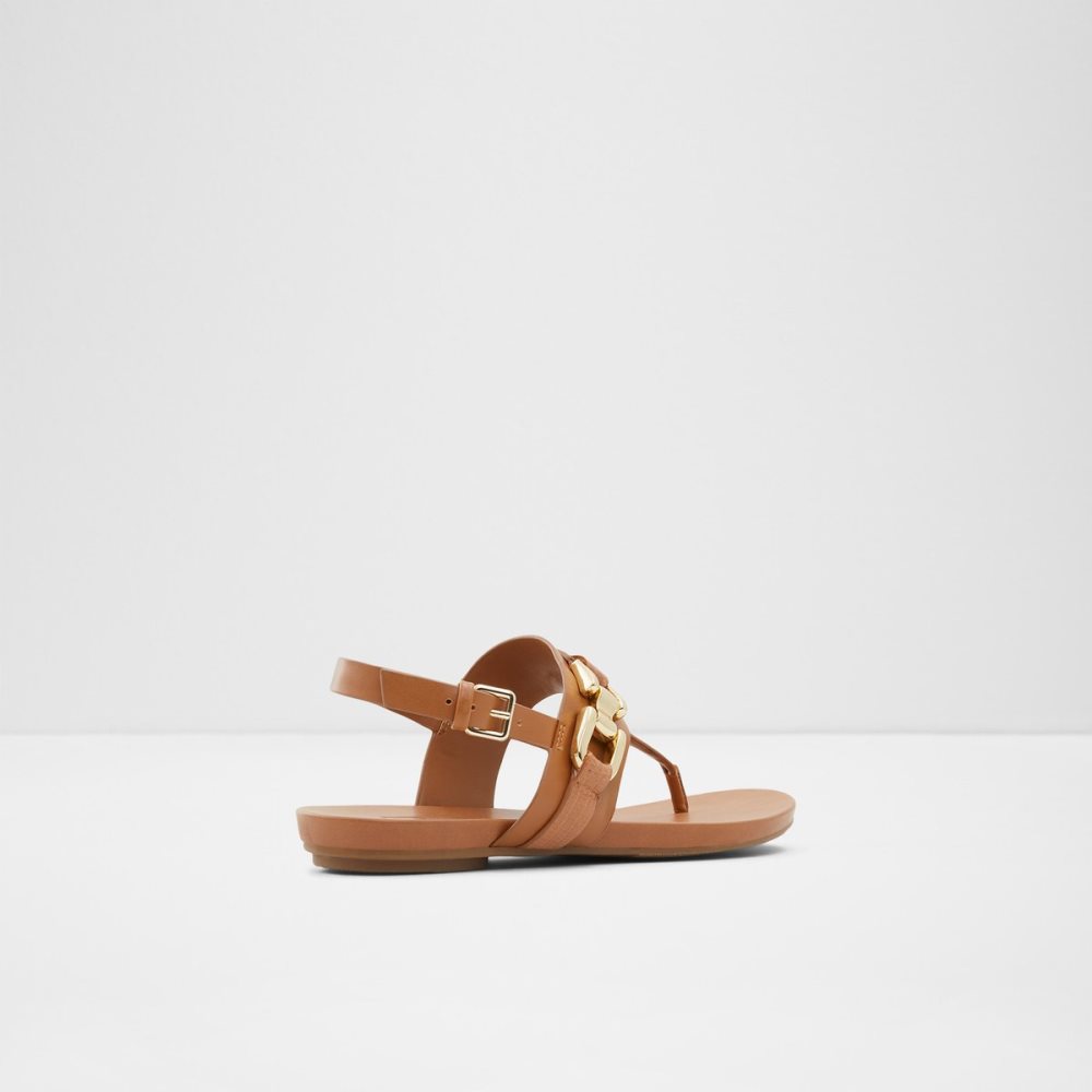 Sandales Aldo Gannamaryn T-strap Sandal Marron Femme | BVOD-43471528