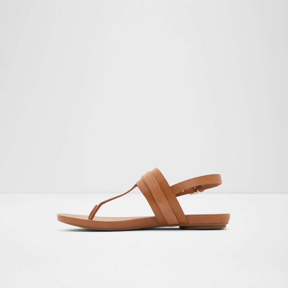 Sandales Aldo Gannamaryn T-strap Sandal Marron Femme | BVOD-43471528