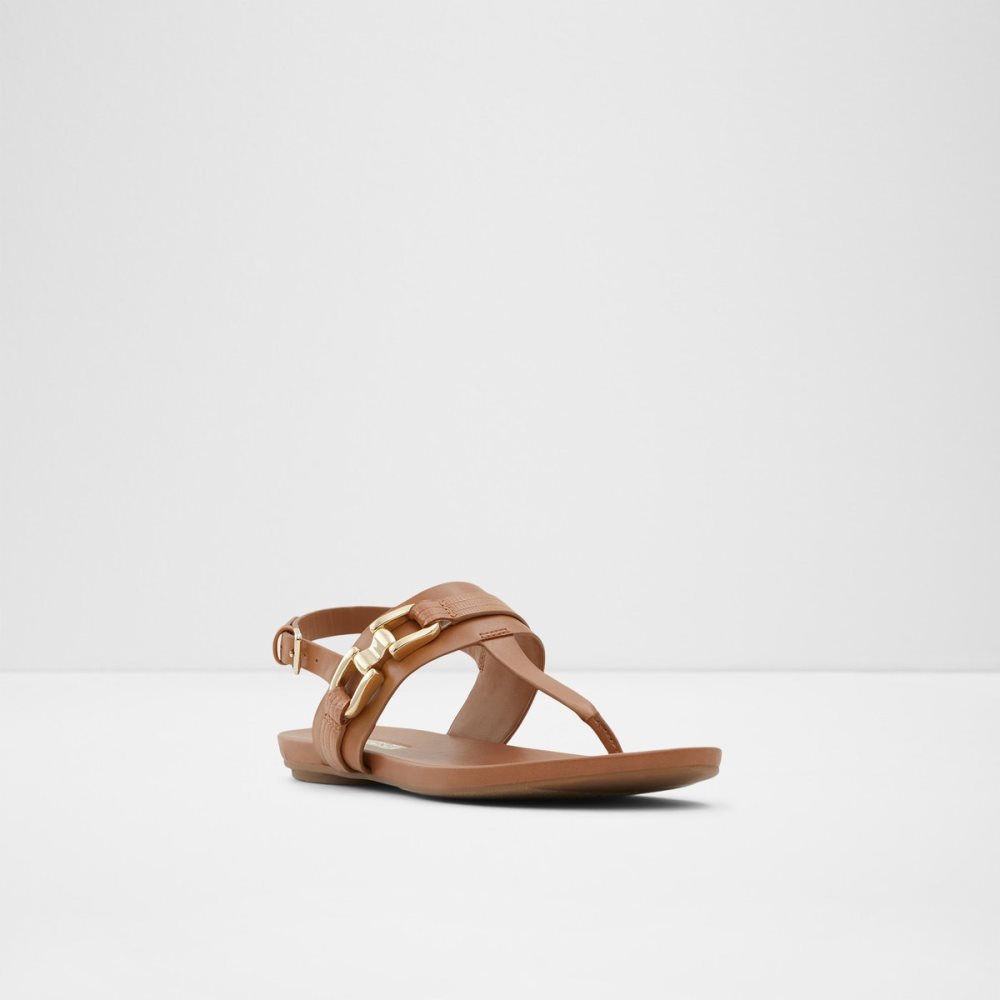 Sandales Aldo Gannamaryn T-strap Sandal Marron Femme | BVOD-43471528