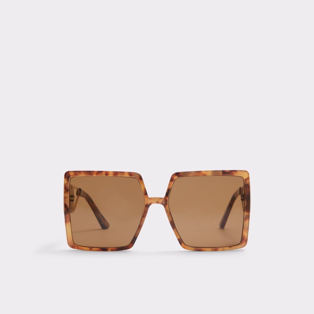 Lunettes de Soleil Aldo Ybaledia Square Marron Femme | WJND-34218930