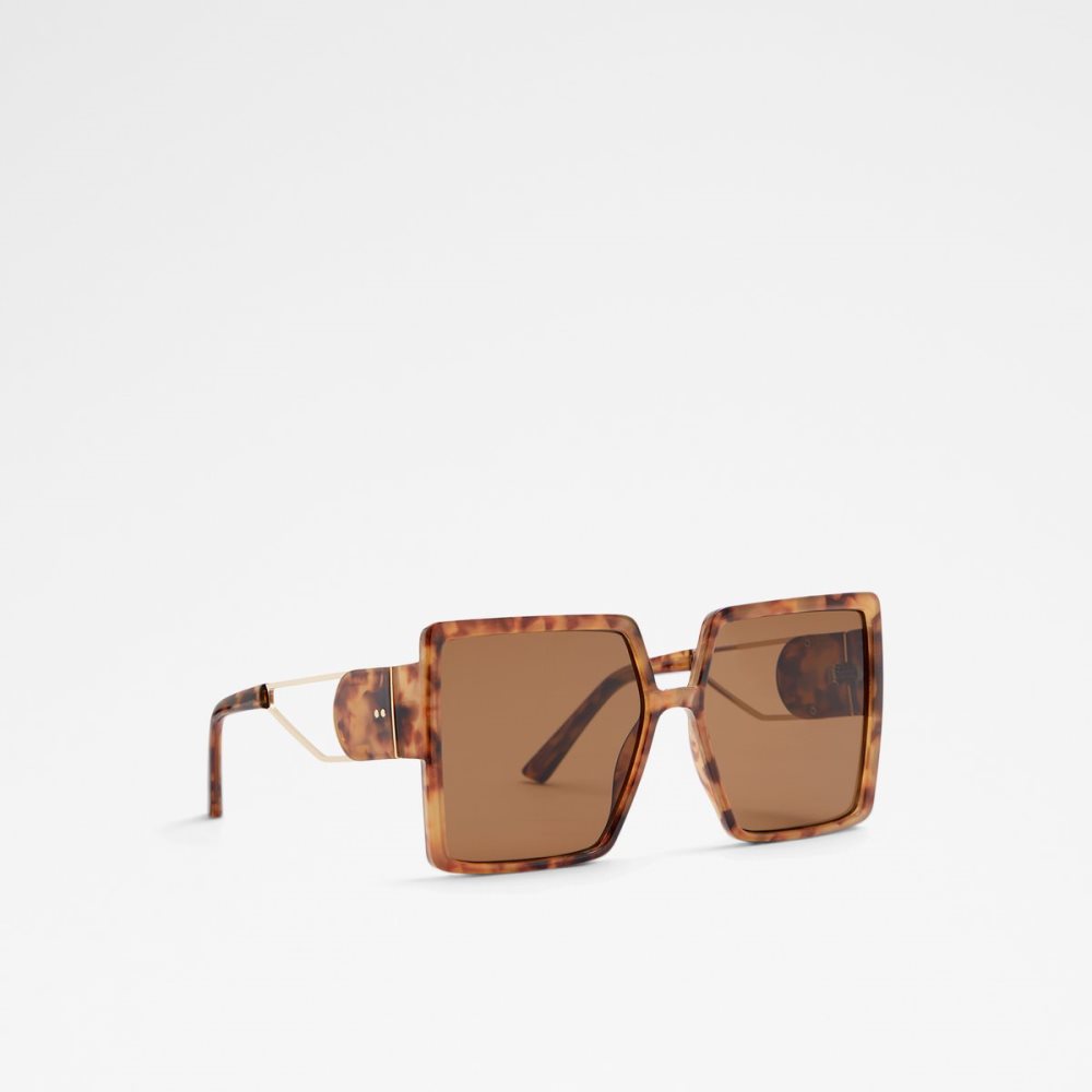 Lunettes de Soleil Aldo Ybaledia Square Marron Femme | WJND-34218930