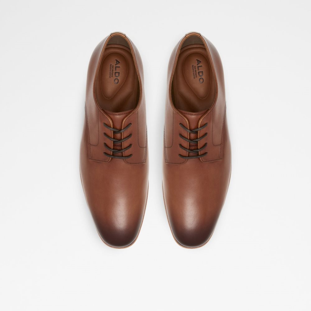 Chaussures Richelieu Aldo Tolkien Marron Homme | NRDT-63710659