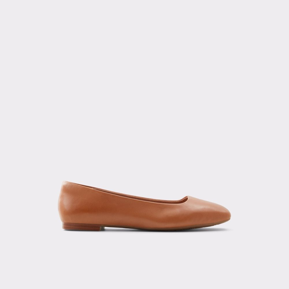 Ballerine Aldo Koosaflex-w Marron Femme | NVZX-32985210