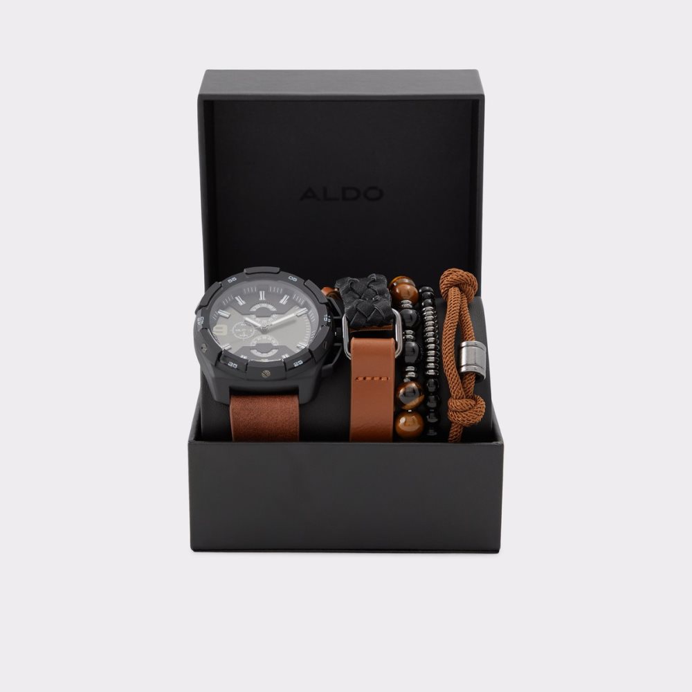 Montre Aldo Ybigori Marron Homme | FFPD-08352552