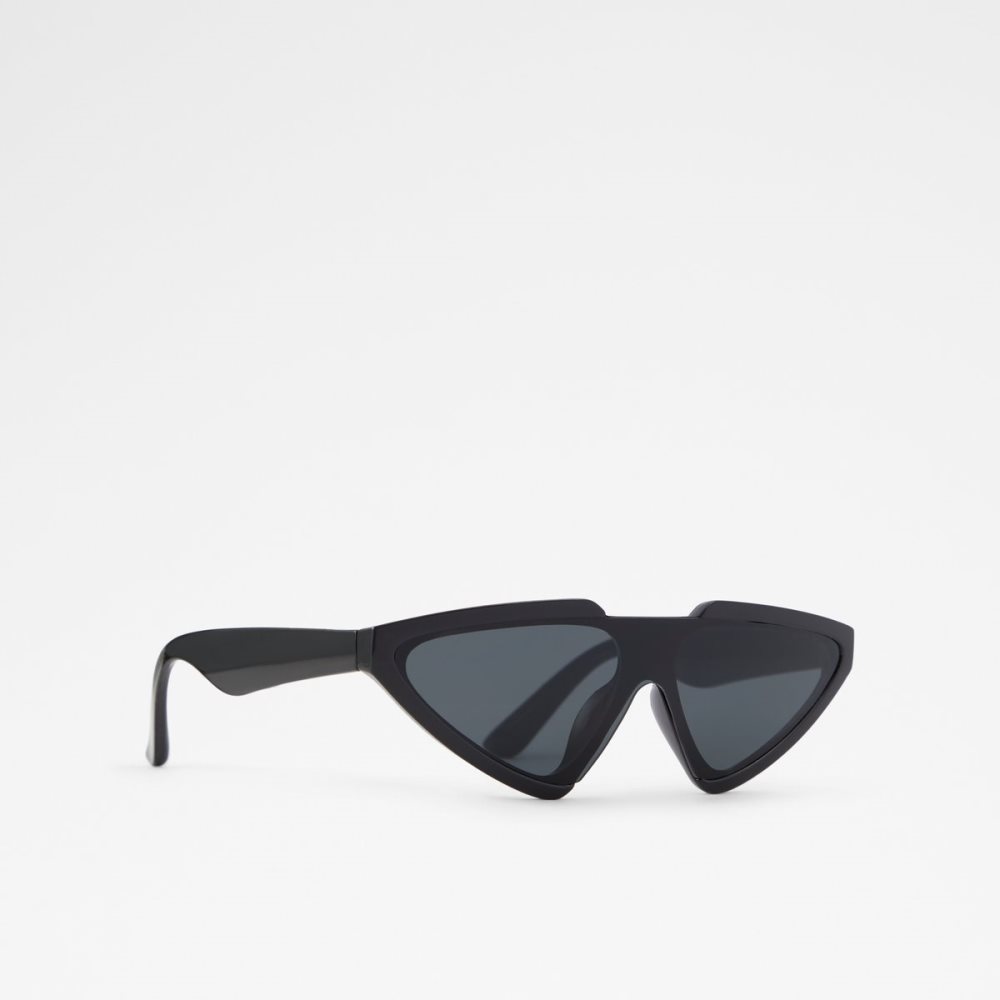 Lunettes de Soleil Aldo Cararia Cat Eye Noir Femme | LNLW-84063215