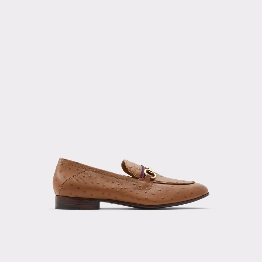 Loafers Aldo Trywen Marron Homme | EHGH-02410643