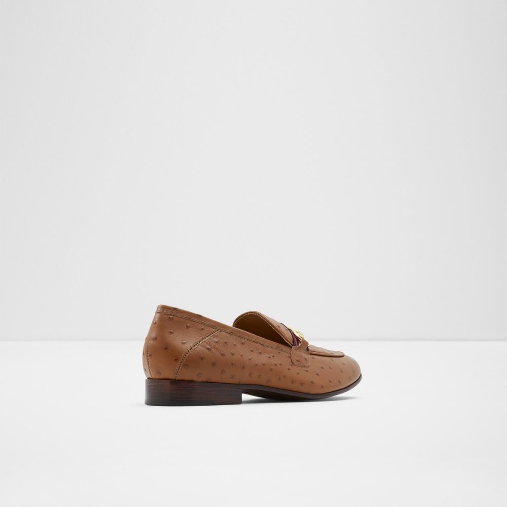 Loafers Aldo Trywen Marron Homme | EHGH-02410643