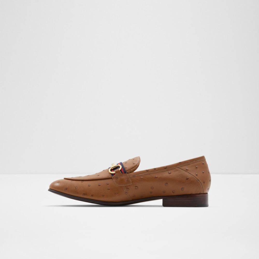 Loafers Aldo Trywen Marron Homme | EHGH-02410643