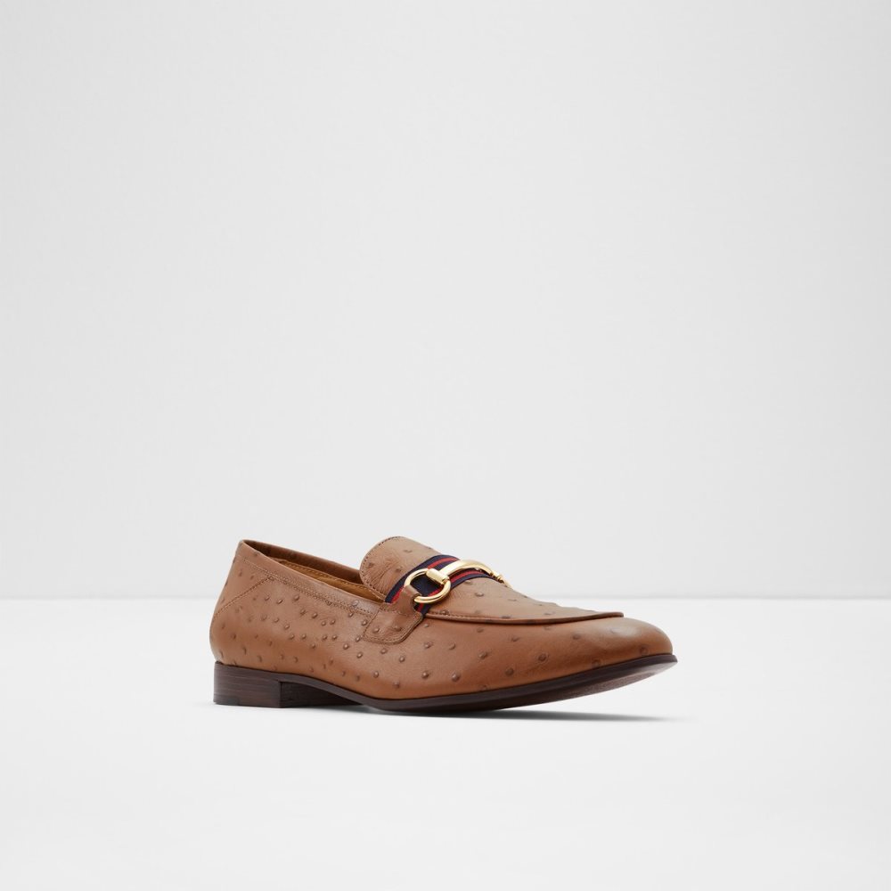 Loafers Aldo Trywen Marron Homme | EHGH-02410643