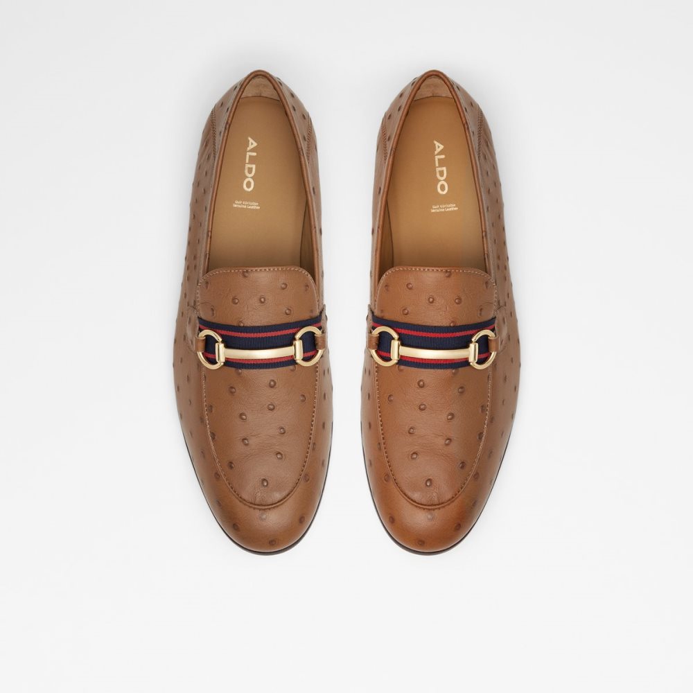 Loafers Aldo Trywen Marron Homme | EHGH-02410643