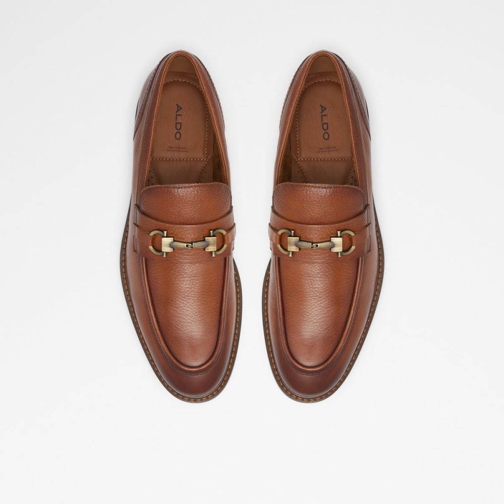 Loafers Aldo Schergerflex Marron Homme | KQJE-98839597