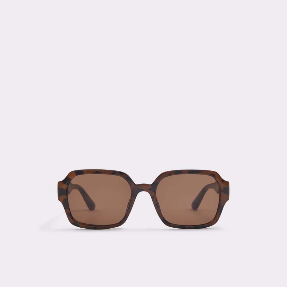 Lunettes de Soleil Aldo Quoll Marron Homme | DTBK-52445143