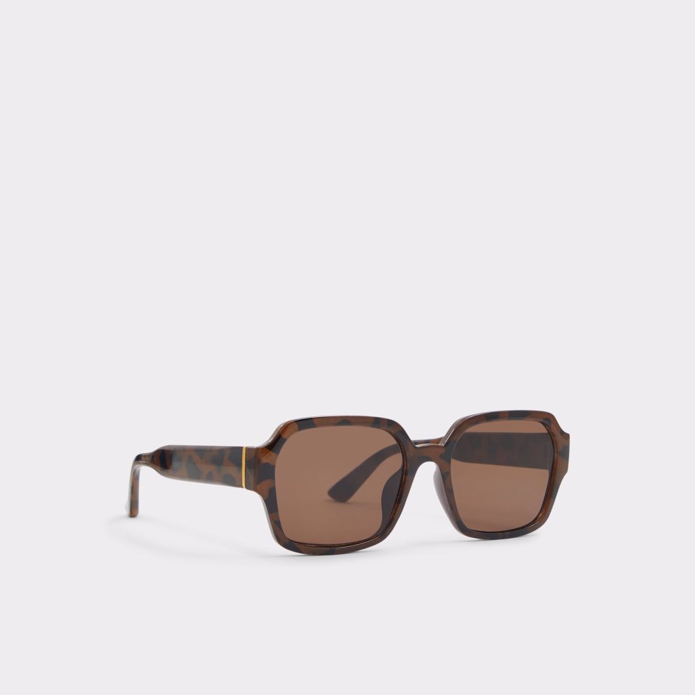 Lunettes de Soleil Aldo Quoll Marron Homme | DTBK-52445143