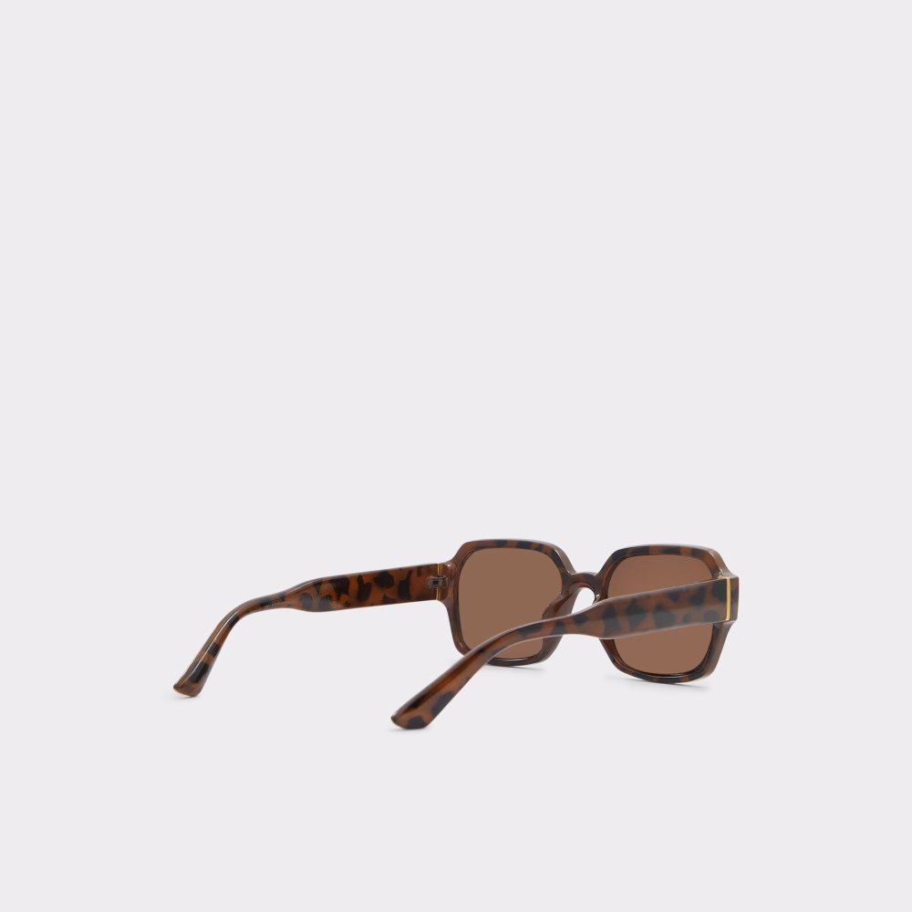 Lunettes de Soleil Aldo Quoll Marron Homme | DTBK-52445143