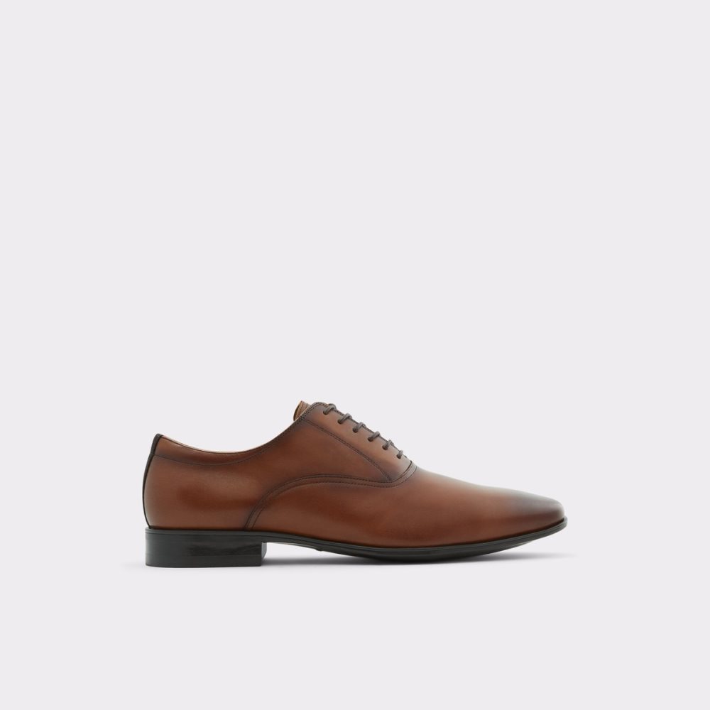 Chaussures Richelieu Aldo Nathon Marron Homme | GXHV-76980592