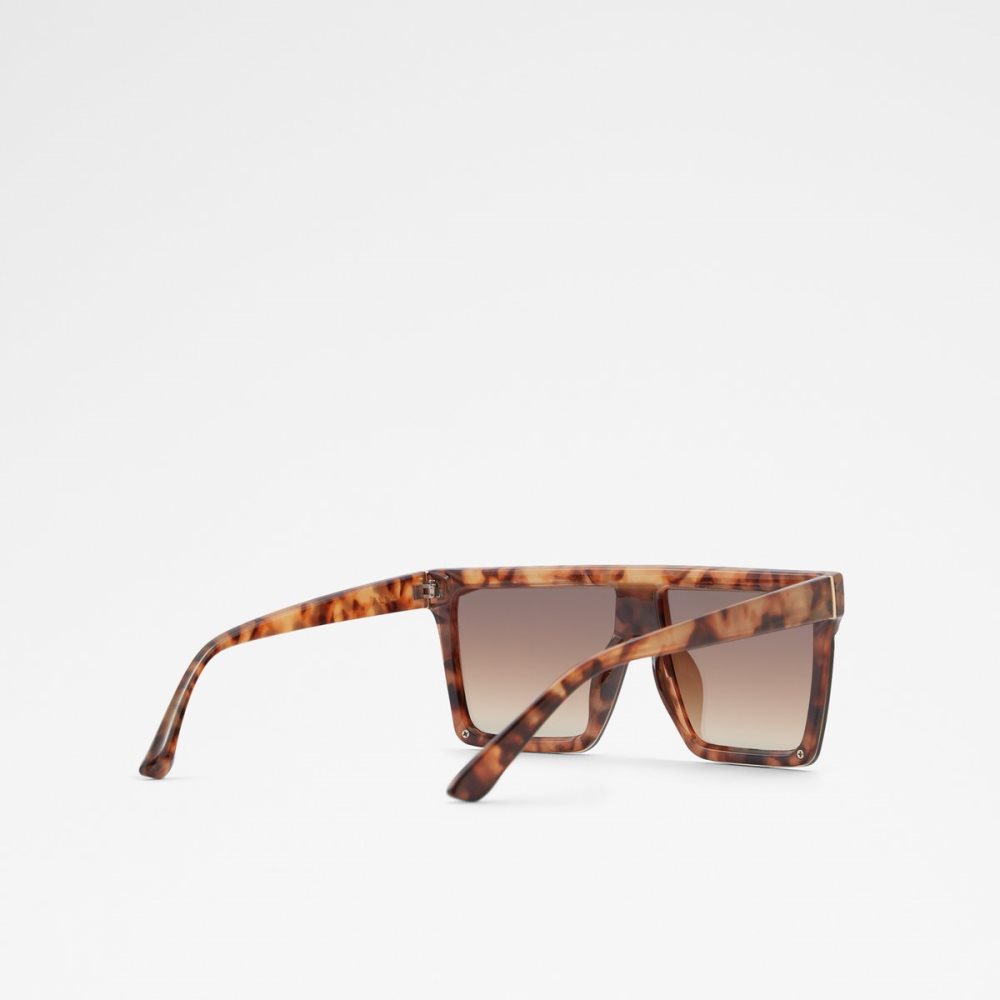 Lunettes de Soleil Aldo Brightside Shield Marron Femme | MRTB-88684069