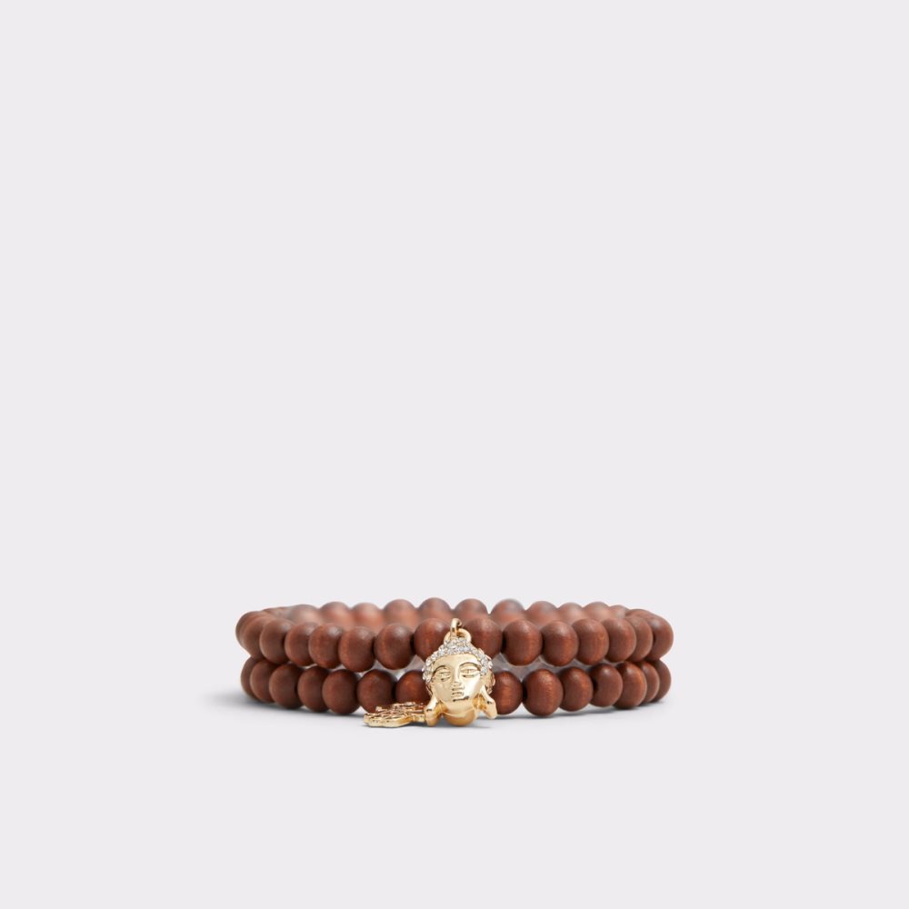 Bracelet Aldo Leliwien Marron Homme | HDGI-51243040