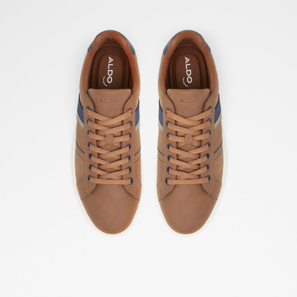 Baskets Aldo Citywalk Low Top - Cup Sole Marron Homme | NKBS-78305889