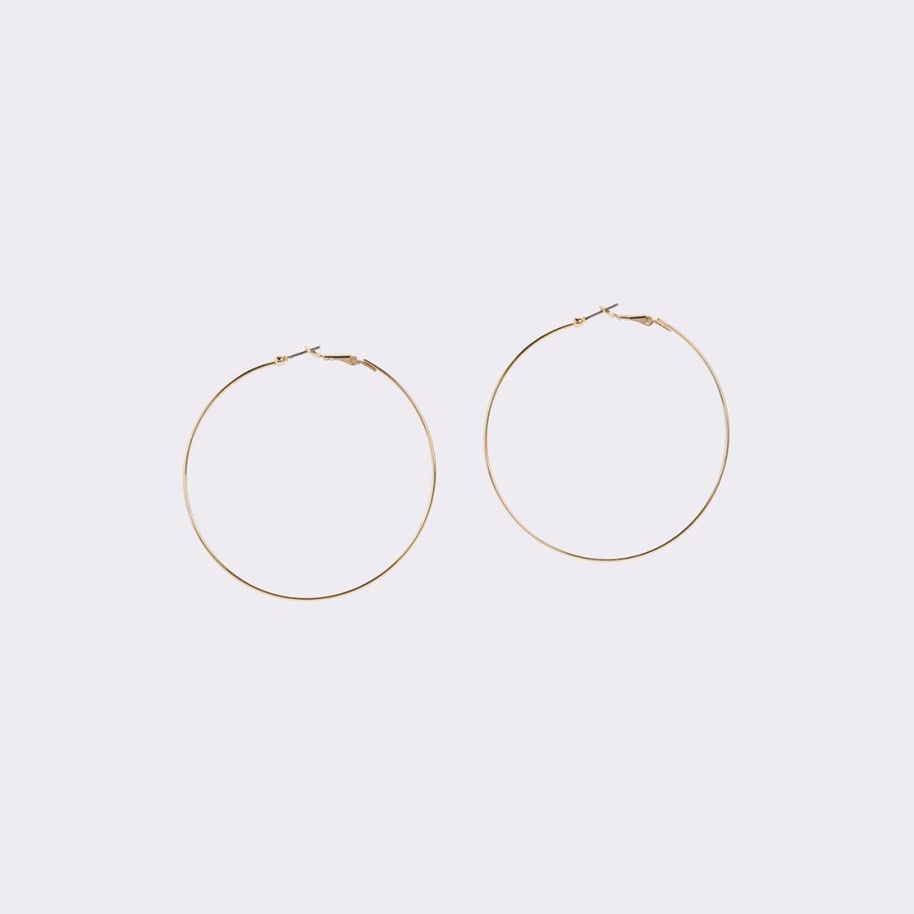 Boucle d'oreille Aldo Leota Hoop Doré Femme | KTWK-63094094