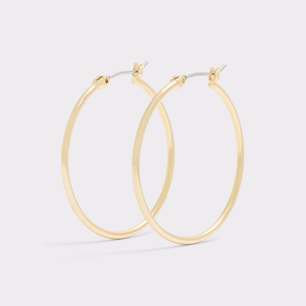 Boucle d'oreille Aldo Jaborosa Hoop Doré Femme | RTNE-86519835