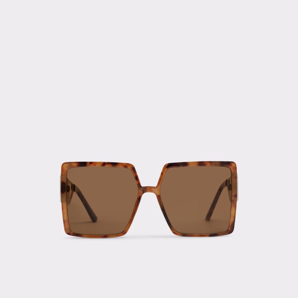 Lunettes de Soleil Aldo Annerelia Marron Femme | JKEB-75021704