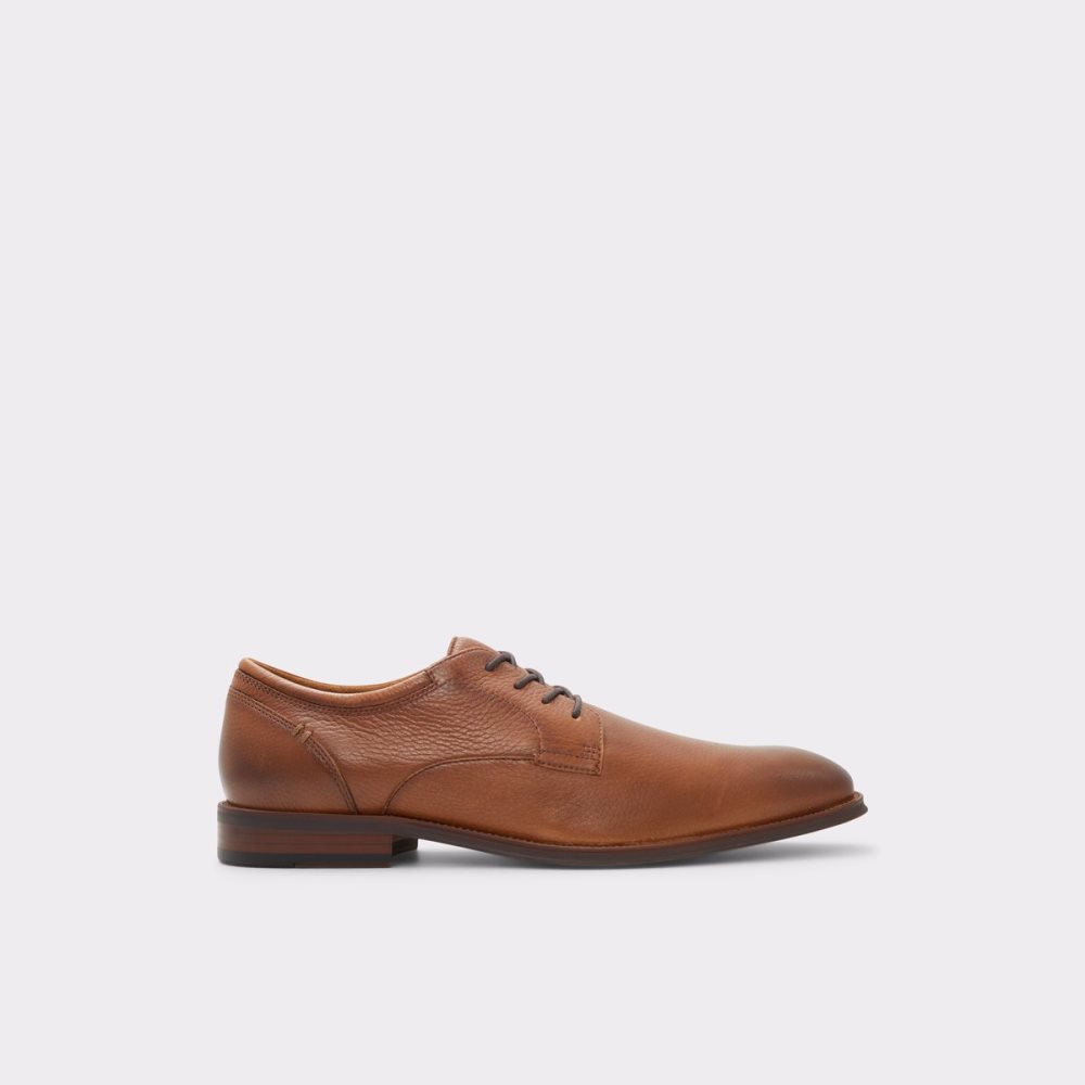 Chaussures Richelieu Aldo Zirakor Marron Homme | EVLK-88666132