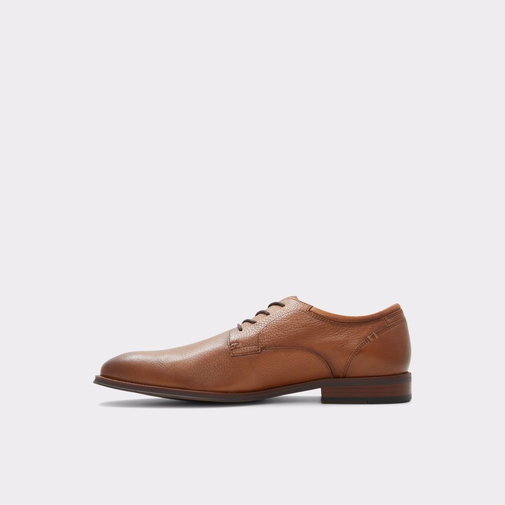 Chaussures Richelieu Aldo Zirakor Marron Homme | EVLK-88666132