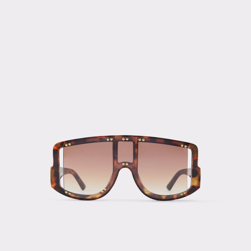 Lunettes de Soleil Aldo Javabriclya Shield Marron Femme | MXIM-70483694