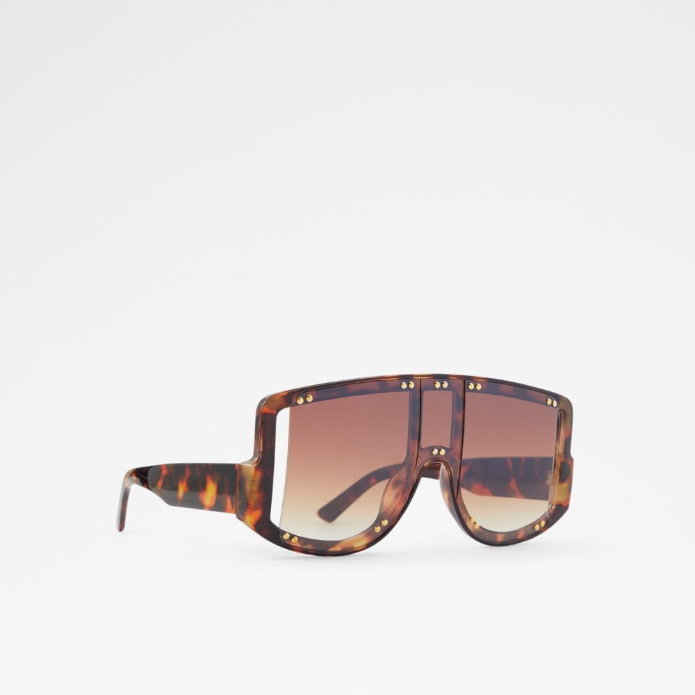 Lunettes de Soleil Aldo Javabriclya Shield Marron Femme | MXIM-70483694