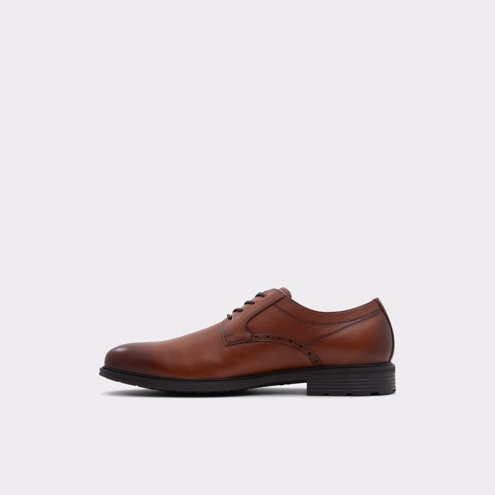 Chaussures Richelieu Aldo Nobel Marron Homme | DEBD-06079012