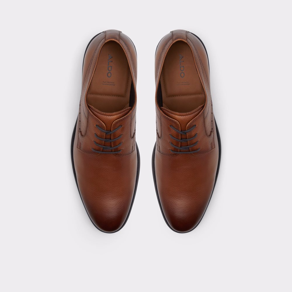 Chaussures Richelieu Aldo Nobel Marron Homme | DEBD-06079012