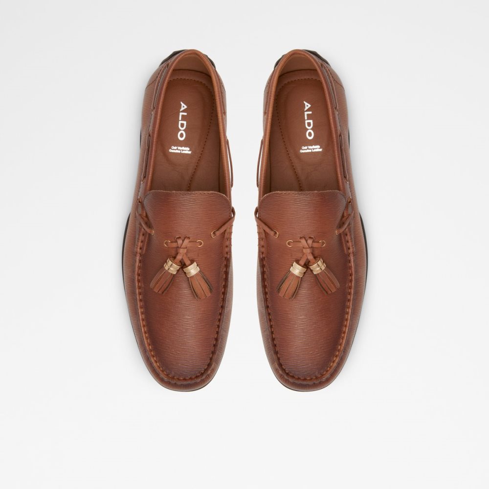 Chaussures Casual Aldo Sheremo Driving Marron Homme | CZIL-19386965