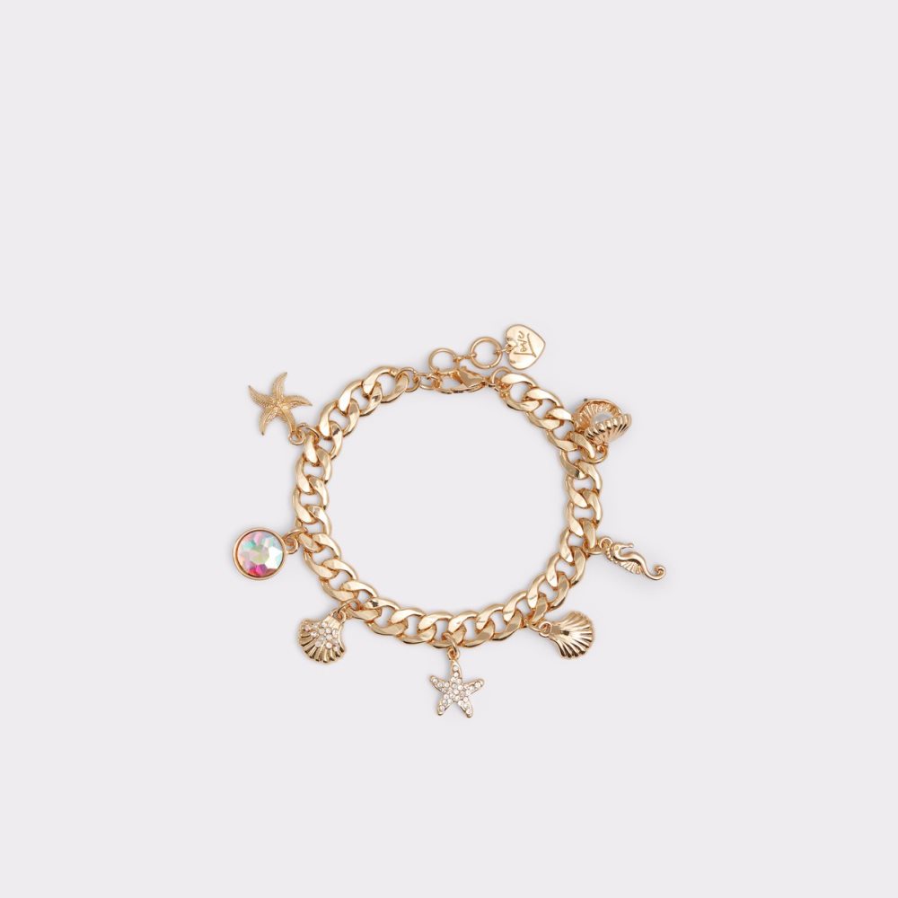 Bracelet Aldo Beberiel Bacelet Doré Multicolore Femme | SVJP-92728820