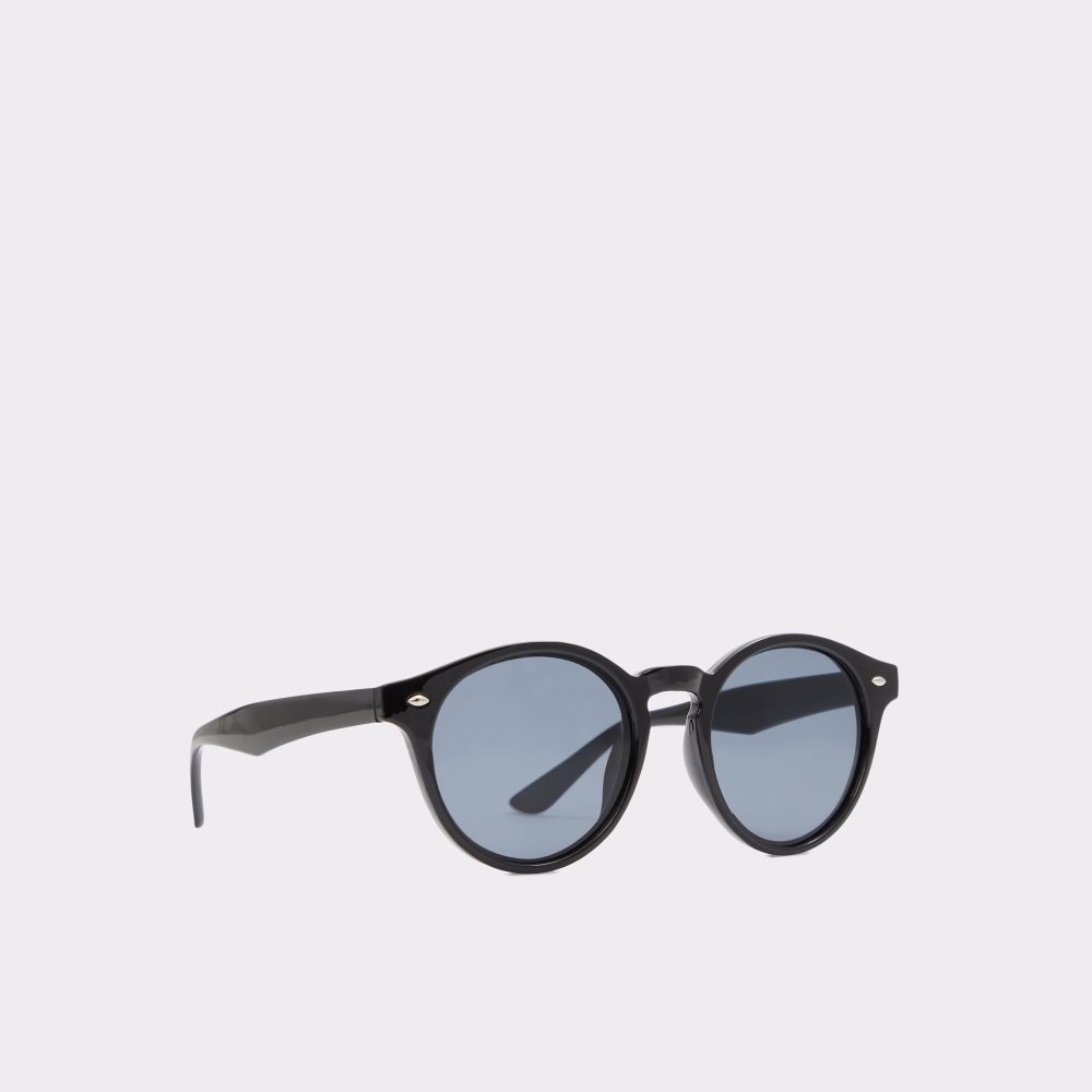 Lunettes de Soleil Aldo Graewien Round Noir Homme | XZFH-01330489