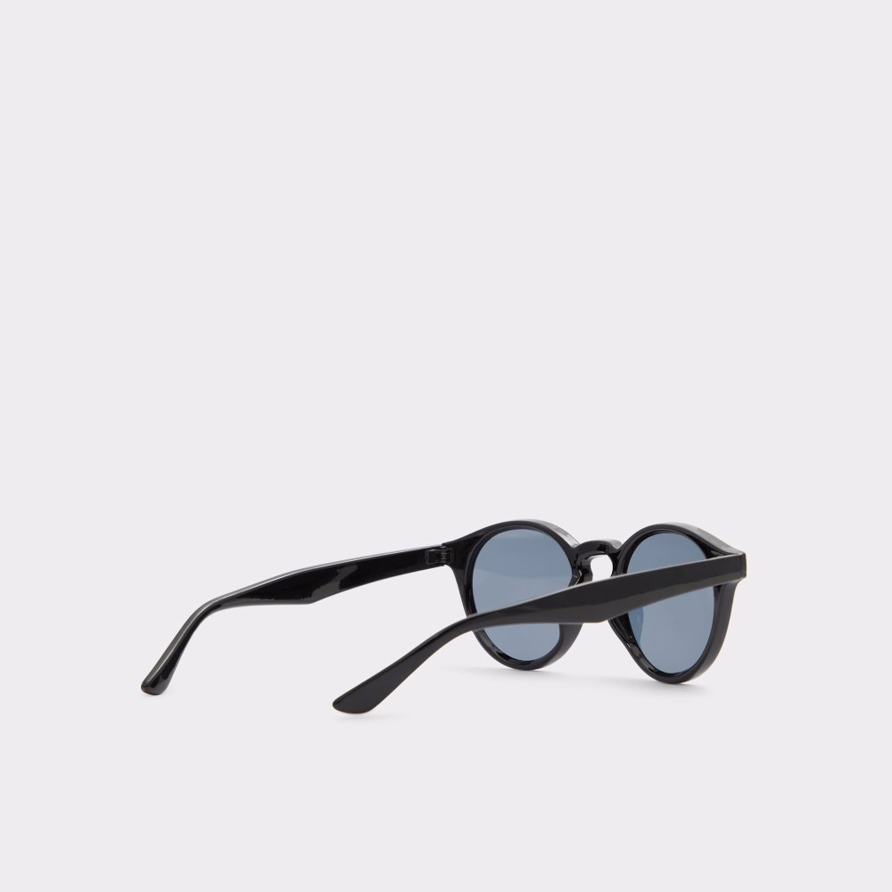 Lunettes de Soleil Aldo Graewien Round Noir Homme | XZFH-01330489