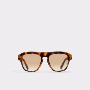 Lunettes de Soleil Aldo Milicien Marron Homme | AZUK-40651949