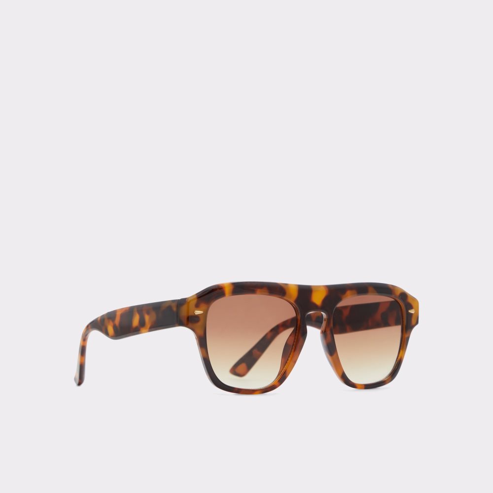 Lunettes de Soleil Aldo Milicien Marron Homme | AZUK-40651949