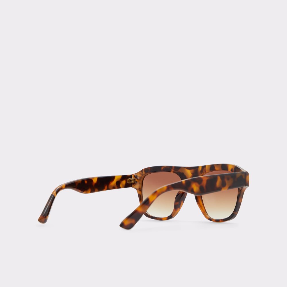 Lunettes de Soleil Aldo Milicien Marron Homme | AZUK-40651949